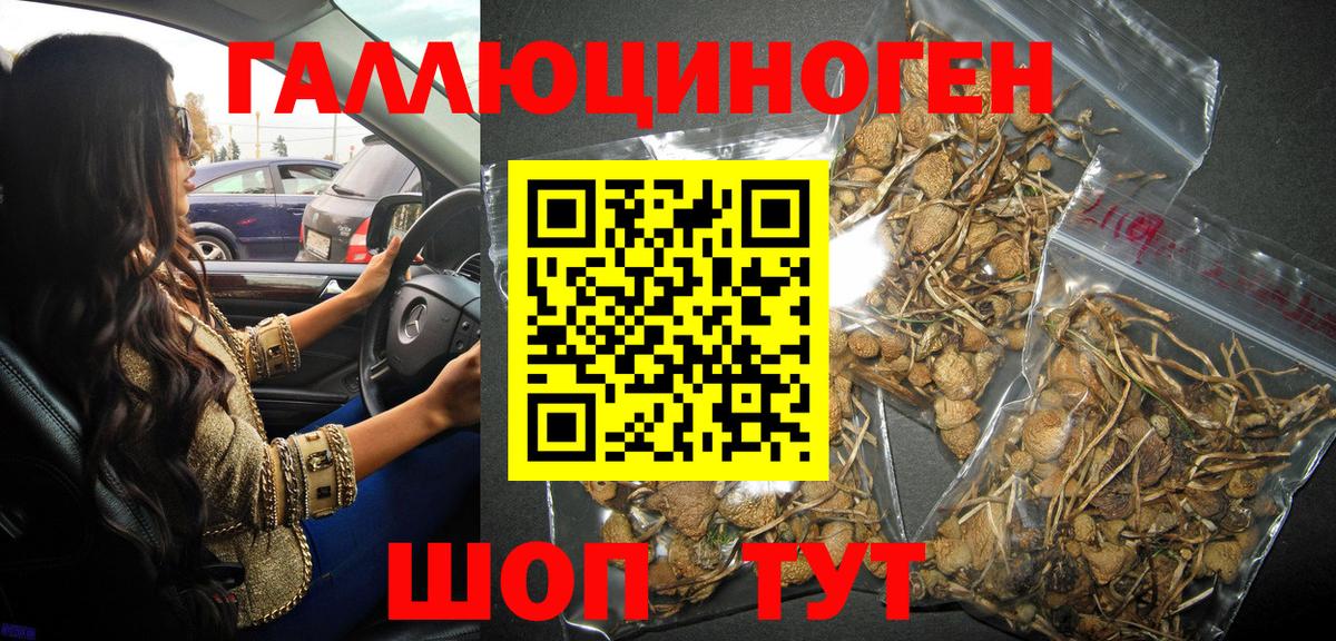 Псилоцибиновые грибы Magic Shrooms Тольятти