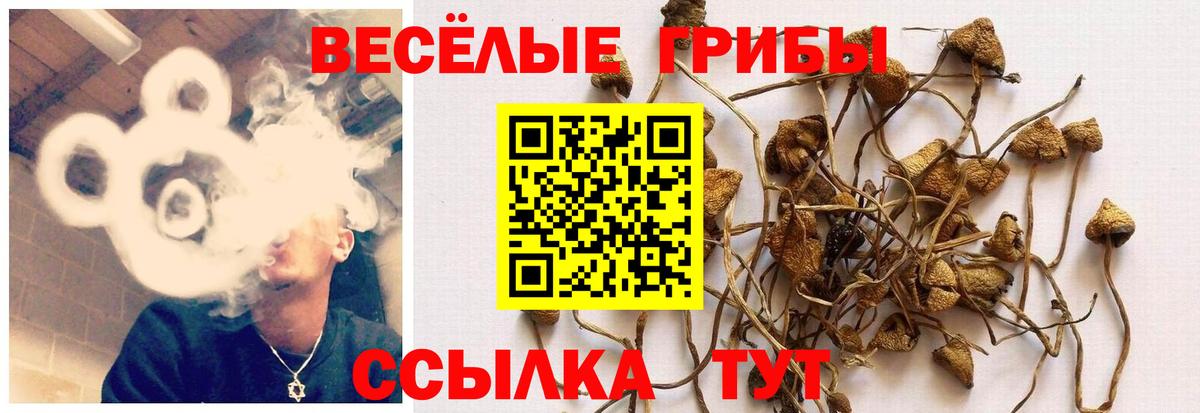 Тольятти  Галлюциногенные грибы ЛСД  Вход с VPN 